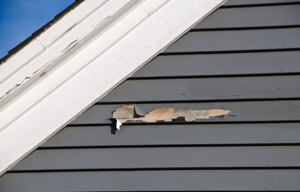 Trusted Adams, WI Siding Experts